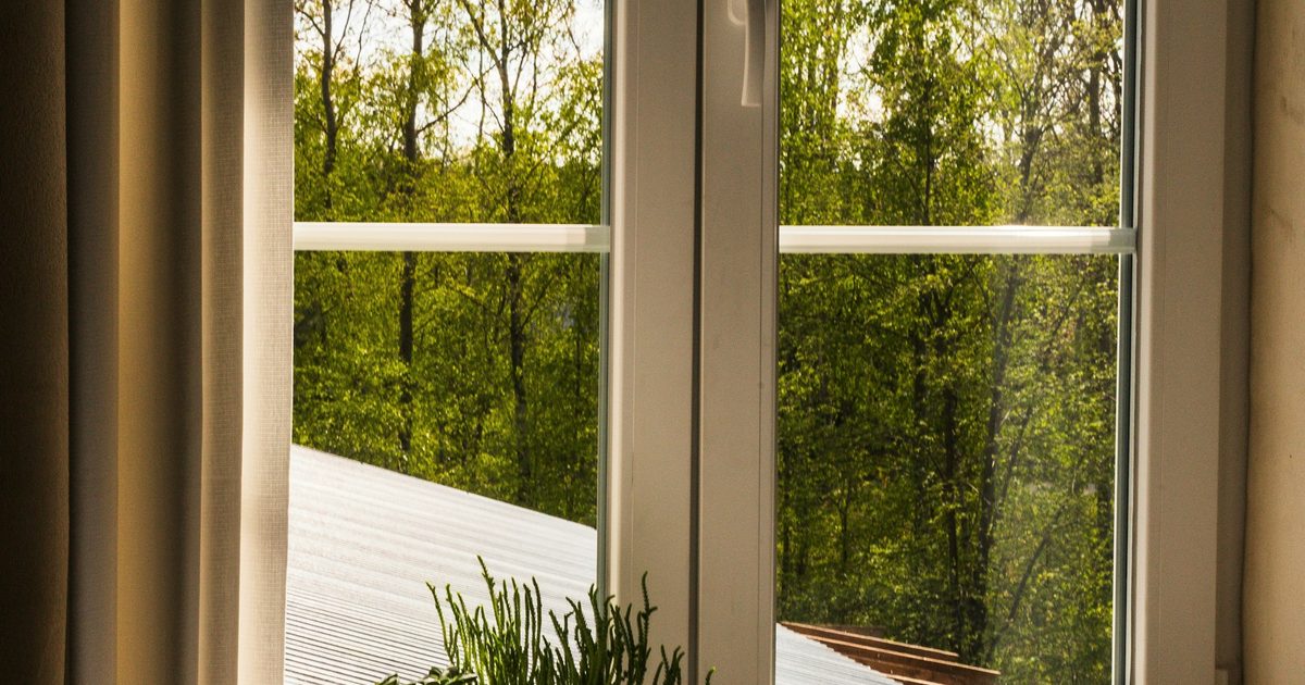Window looking out onto spring trees in fresh green leaf